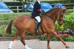 Claire-Oliver-and-Shanbally-legacy