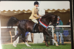 Stephanie zebedee and Eastworth harri