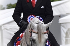 DARREN CROWE and VARTANII