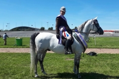 Sian Warman-Randall and Solitaire SR