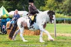 Anest Garrod and Lyonheart Asher