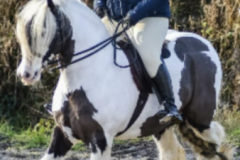 Jenna tann and NOBBY111