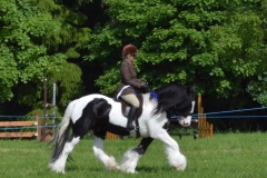 Lucie-Gordon-Burgess-and-Wystone-Domino Lucie-Gordon-Burgess-and-Wystone-Domino