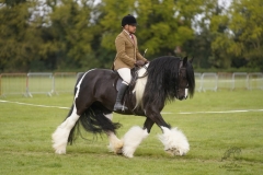 Liam-Morrison-and-Miss-Maggie-mae