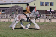 1_Jessica-smith-Horse_Pony-SD-SON-OF-A-LEGEND