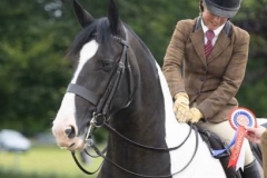 Emma-Burrow-Horse_Pony-Orcaber-Bluebell