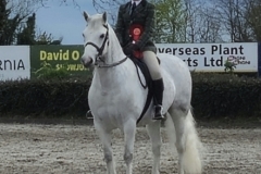 Emma-Walsh-Horse_Pony-Skellorn-SuperTed