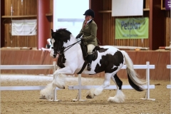 Raychal-Mason-Horse_Pony-SALLY