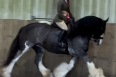 Sophie-Hatswell-Horse_Pony-Blue-Sea-Gypsy