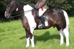 Michelle-Bowley-and-Colour-Graphix_