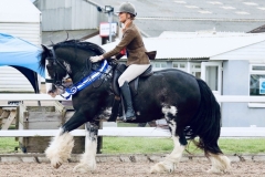 Poppy-Fisher-and-The-Wolf