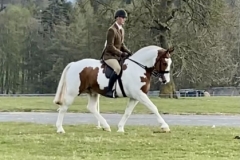 William-hibbert-and-Mr-Popplewick