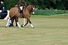 Beth-Andrews-and-Charliebrowns-Jack-Daniels