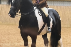 Loren-Gaskin-and-Greateaves-Token-Star