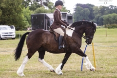 Zoe-Hume-and-Goldston-Dakota