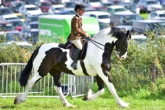 Emma-Burrow-and-Orcaber-Bluebell