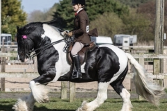 Kayleigh-Catton-Horse_Pony-Horsmans-Landlord