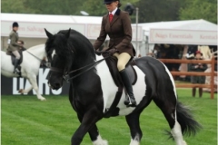 Loren-Gaskin-Horse_Pony-Greateaves-Token-Star