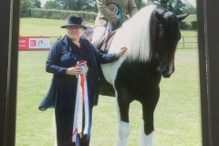 Victoria-Walker-Horse_Pony-The-Mighty-Warrior