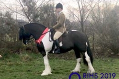 Llynrhyn Krystal and Adam forster