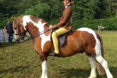 Mia hiscock and Castlehill icon