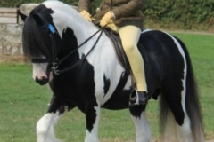 Rachel Leek and The Tramp