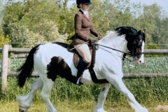 Cally-Humphrey-and-Fouches-Wizard-of-Oz