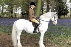 Laila-Gaskin-and-Gafros-Polly-Patches