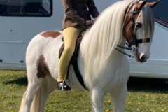 Millie-Walsh-and-Blue-thunder