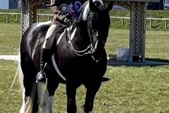 Oliver-Bradshaw-and-Hello-Dolly-II