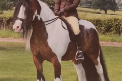 Aliya-Khan-and-Mr-Darcey