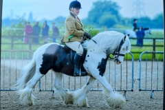 Anest-Garrod-and-Baronsdown-Artful-Dodger