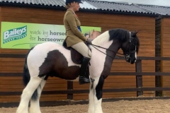 Rhea-Shakespeare-and-The-Traveller