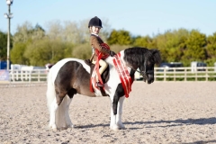 Alexia-Lilley-and-Briar-Puzzle