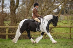 Laila-Gaskin-and-Supernova