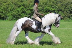 Meg-Edmondson-and-Atkins-Silver-Storm-of-EJL