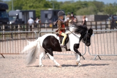 Alexia-Lilley-Horse_Pony-Briar-Puzzle