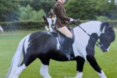 Kimberley-Morton-Horse_Pony-Ey-up-Dave