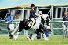 Lexie-Cullingham-Horse_Pony-Bookham-Lodge-Pick-n-Mix