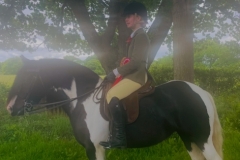 Megan-Borst-Horse_Pony-Warrior-Princess-III