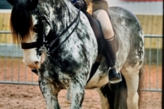 sharron-rowe-and-psycho-sabino