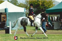 Becky Walter‎ and Shybont Design In Mind