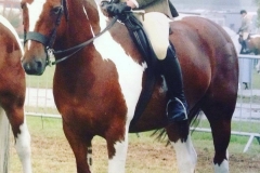 Carnsdale Comedian rider Lucy Vickerton