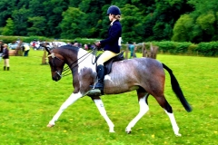 Marina Greenaway Shybont Desirea in Mind