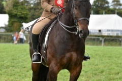 Henry-Hodkinson-and-Tambrook-Too-Good-