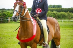 Amira-Curran-and-TidKin-Talisman