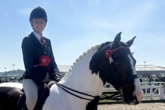 Courtney-Jones-Horse_Pony-Tom-Collins