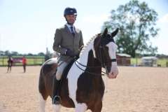 Craig-Wilson-Hole-Horse_Pony-Wilson-Stars-Eclipse