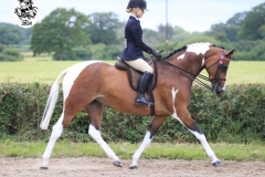 Rhianon-Loafer-Horse_Pony-Castra