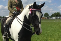 Feckletons class act and Jordan cook